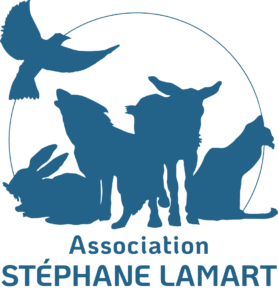 Parrainage Association Stéphane Lamart