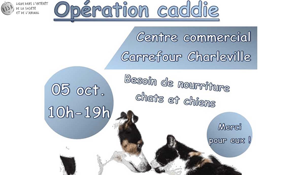 Opération Caddie 2019_Association-LISA