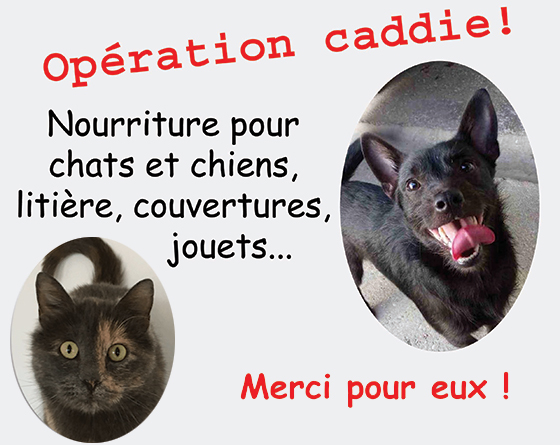 Operation-caddie-23fev2019_Association-LISA