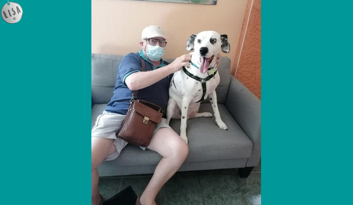 Adoption de Lina - Association LISA