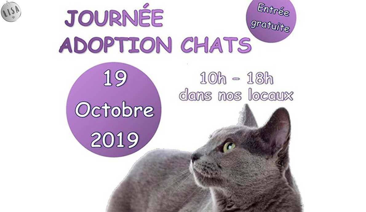 Journée Adoption Chats_Association-LISA