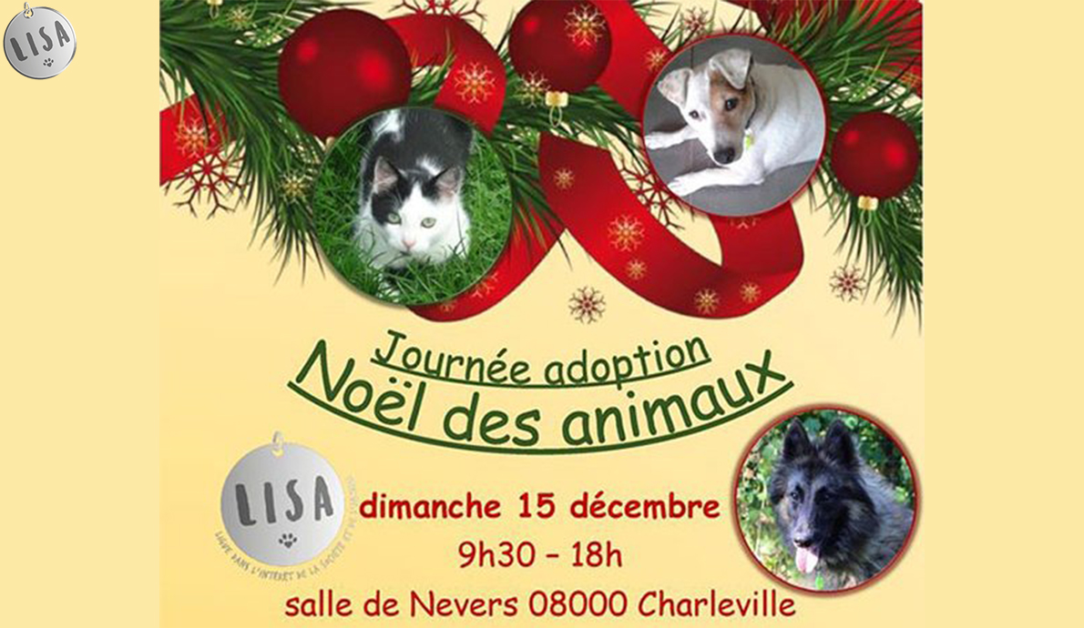 Noël des animaux_Association-LISA