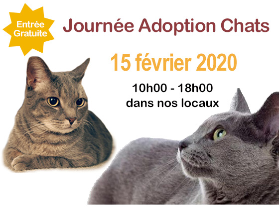 journee-adoption-chats_association-LISA-15-02-2020-1