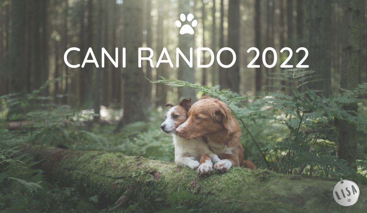 Canirando_randonnée_Association-LISA