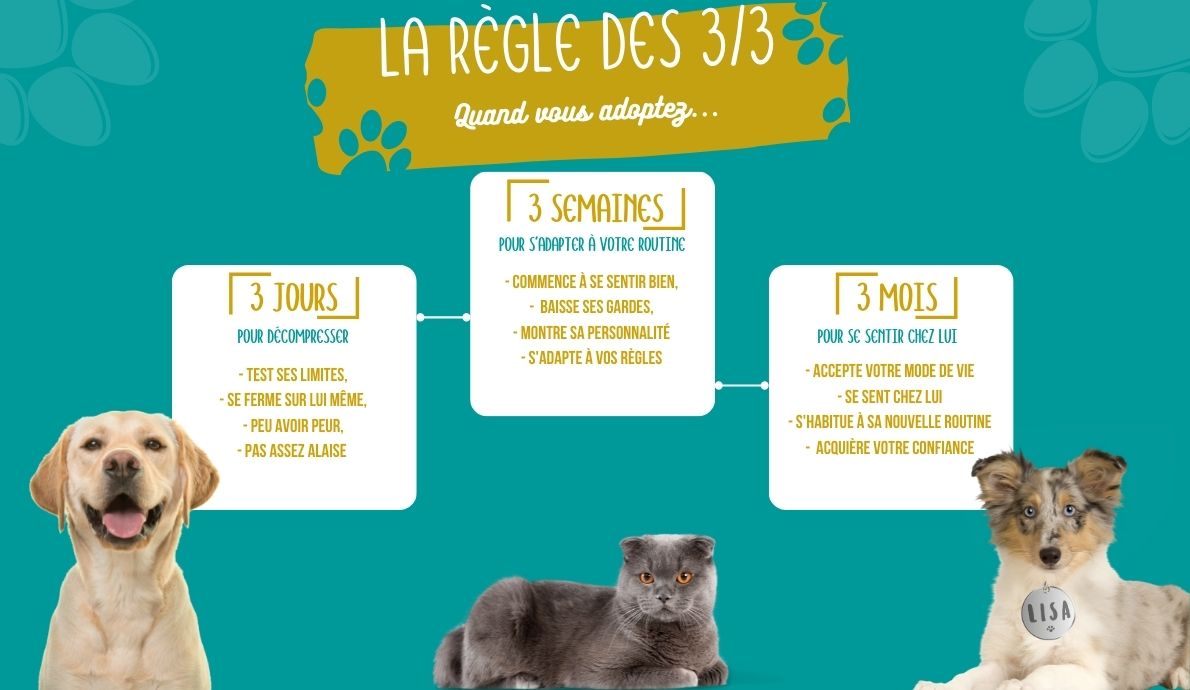 Regle_des_3/3